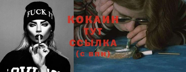 тгк Сатка