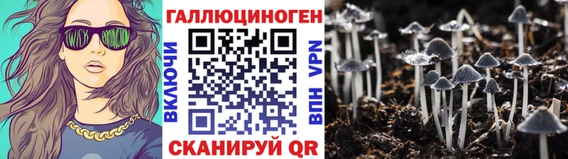 Псилоцибиновые грибы мухоморы Гурьевск