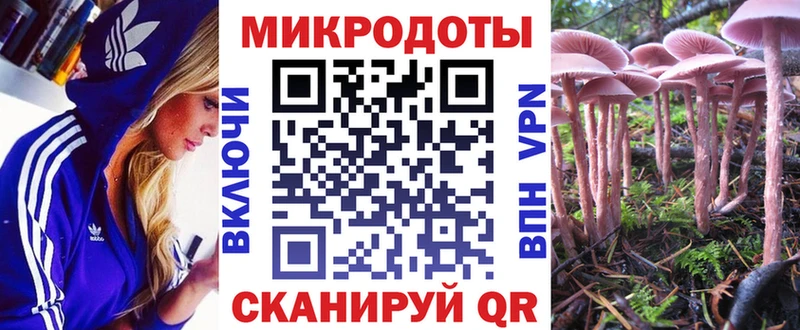 Галлюциногенные грибы Cubensis Гурьевск